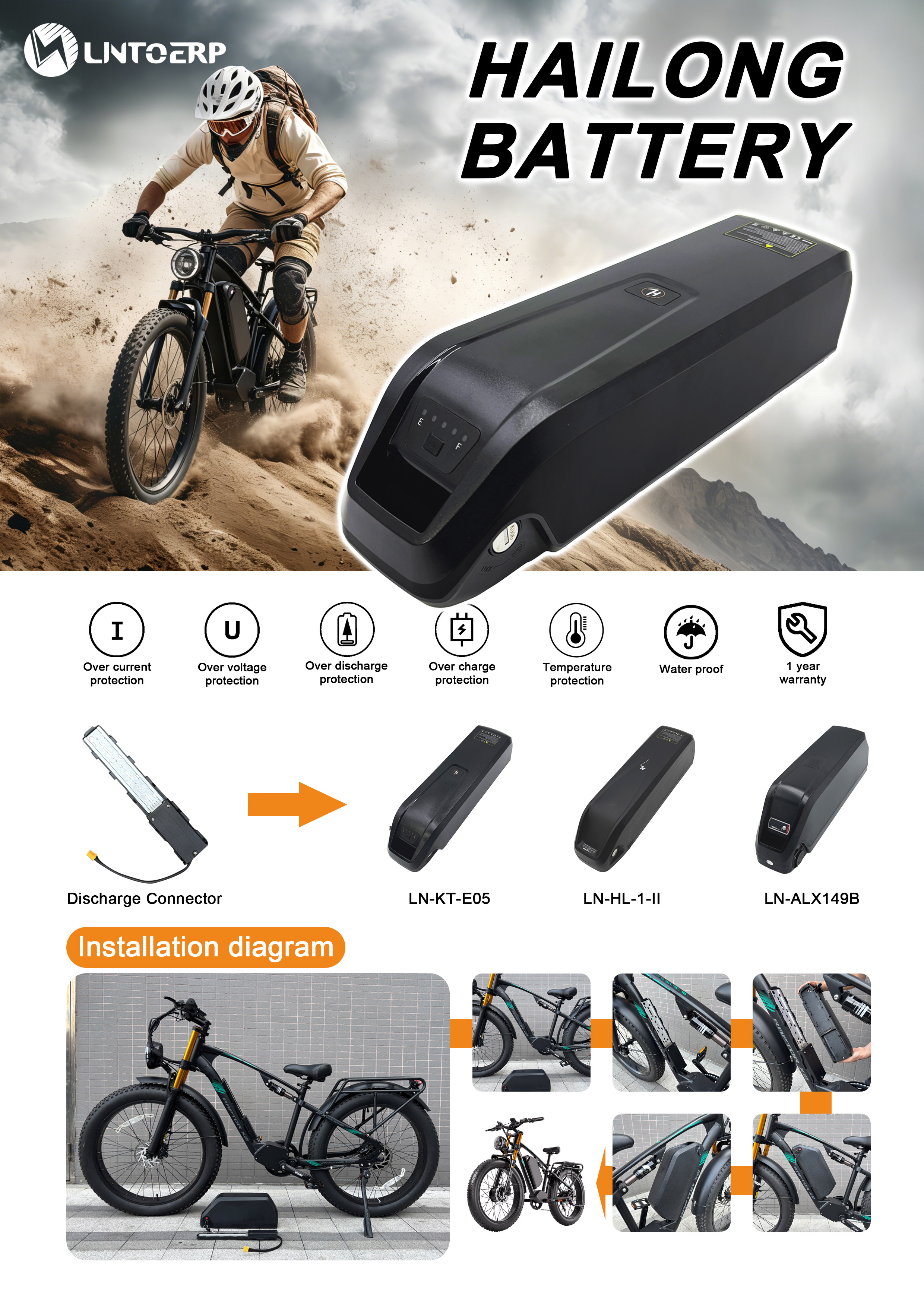 Why Do European Customers Love the “Hailong”  Battery?
